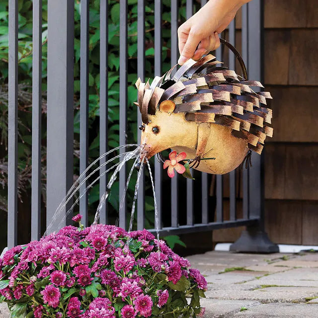 Hedgehog halu watering can