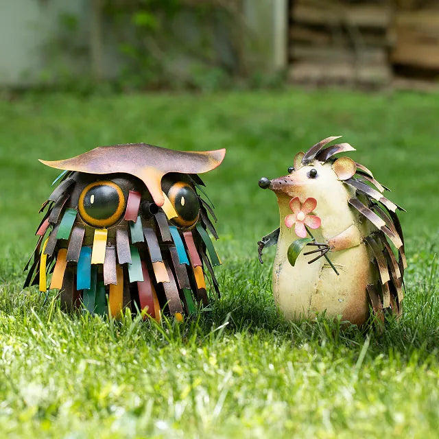 Hedgehog halu watering can