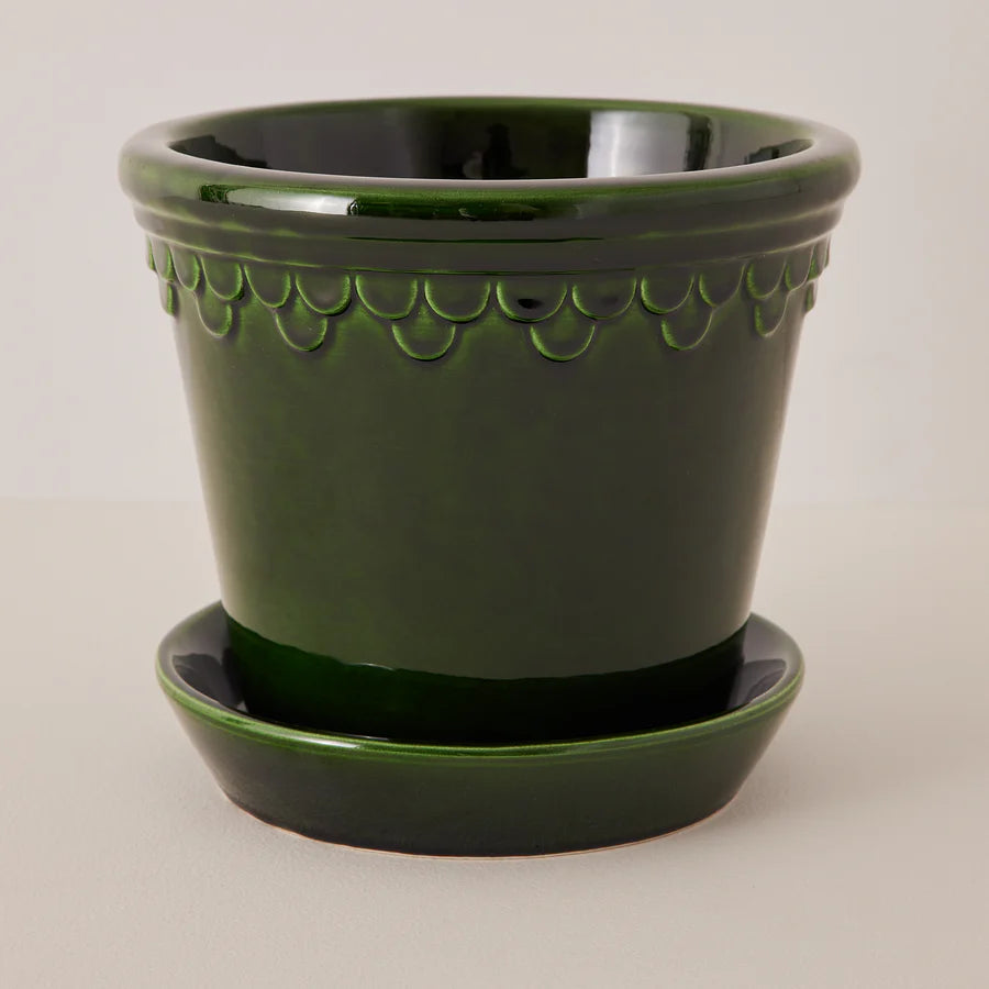 Planter & Saucer