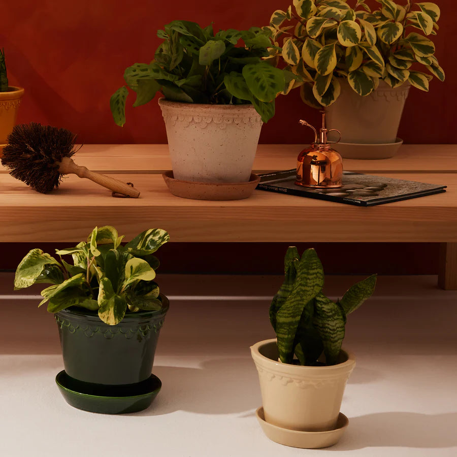 Planter & Saucer